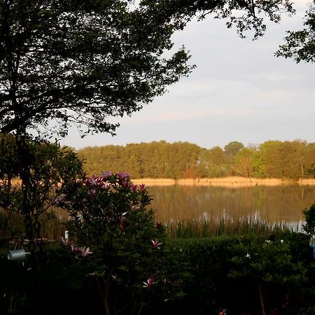 Villa Bungalow Idylle Am See Neuruppin Exterior foto