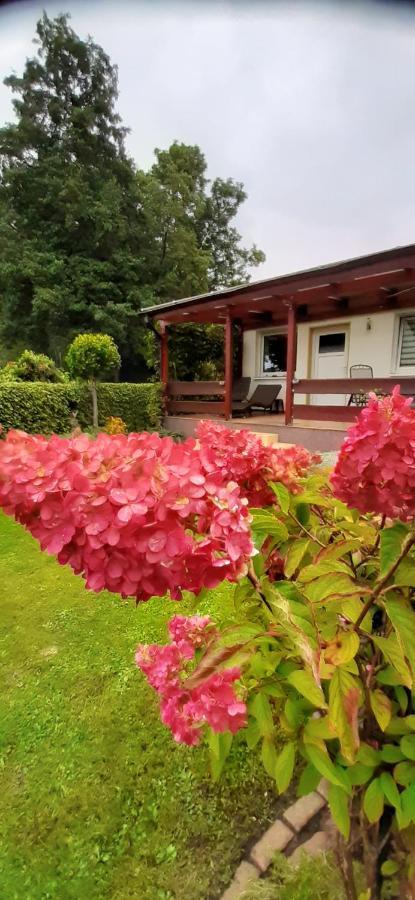 Villa Bungalow Idylle Am See Neuruppin Exterior foto