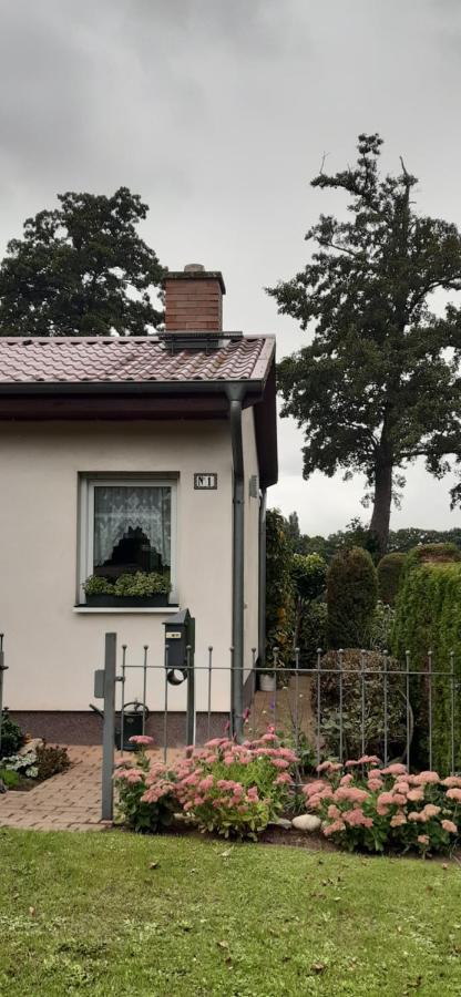 Bungalow Idylle Am See Neuruppin Exterior foto