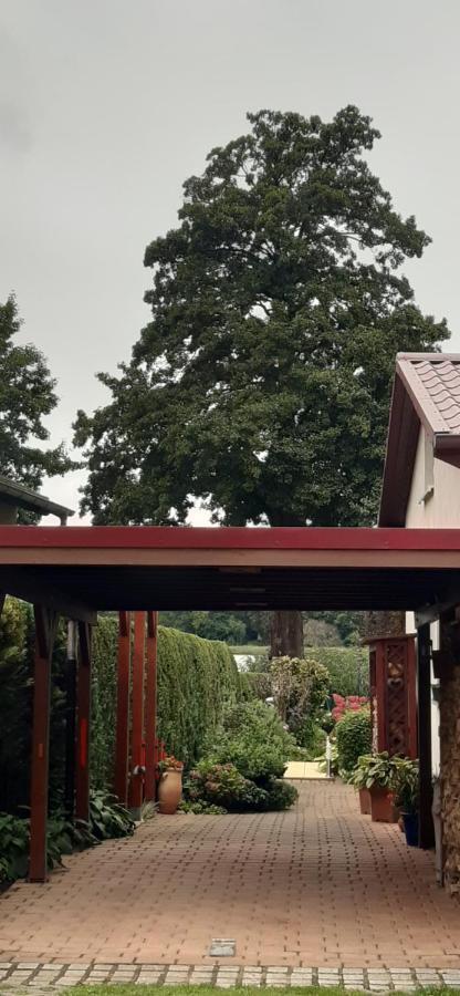Bungalow Idylle Am See Neuruppin Exterior foto